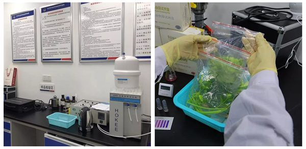 w66国际app(中国)官方下载_来利国际老牌