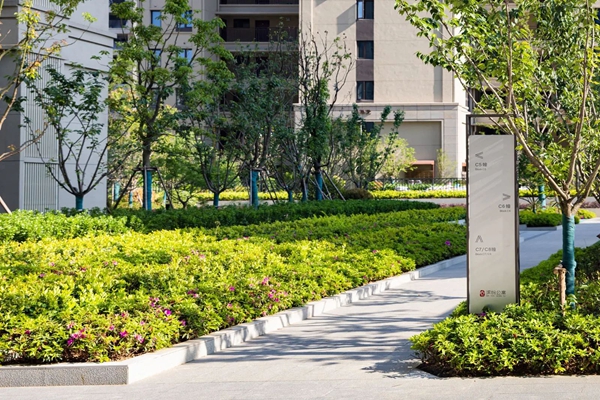 w66国际app(中国)官方下载_来利国际老牌