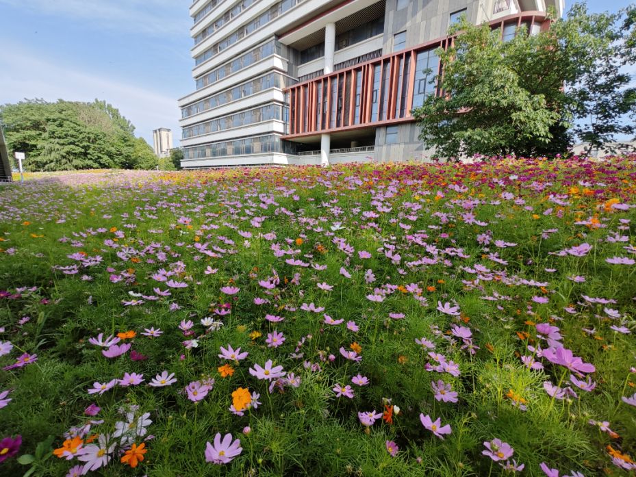 w66国际app(中国)官方下载_来利国际老牌